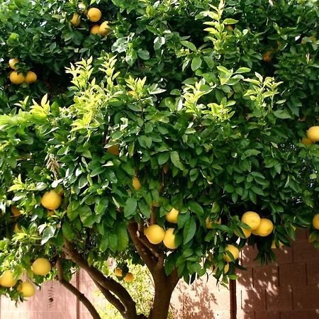 Lemon Tree Hotel Donji Seget Екстериор снимка